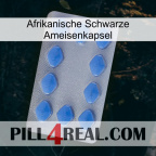 Africa Black Ant Capsule 21